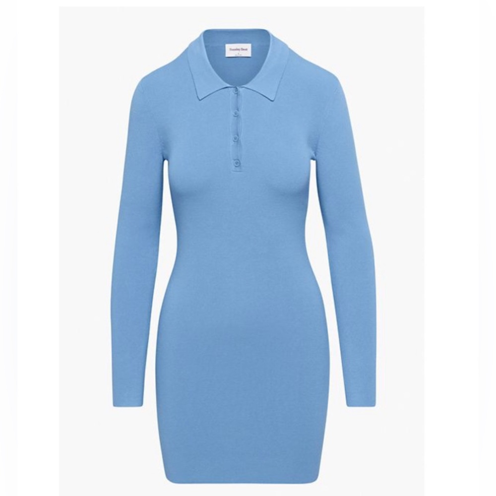 WORN ONCE Aritzia Dress